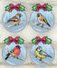 Counted cross stitch kit with plastic canvas "Birds" set of 4 designs 7685 - Wizardi