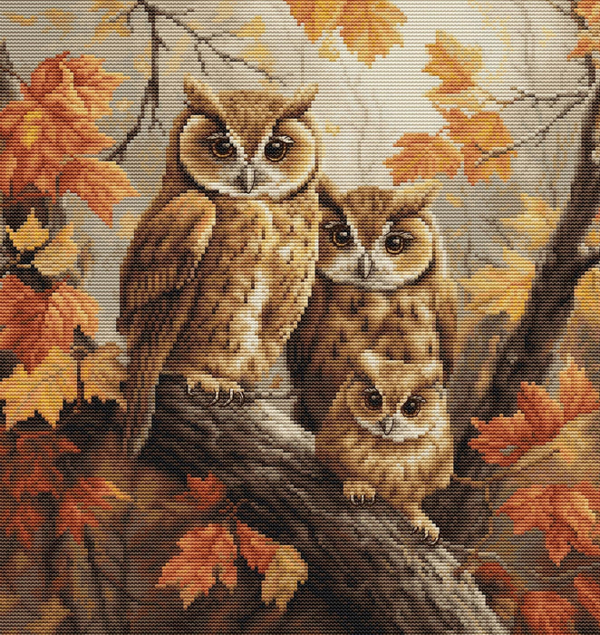 The Owls Family BU5045L Counted Cross-Stitch Kit