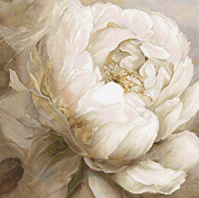 Peony Poses L8083 Counted Cross Stitch Kit