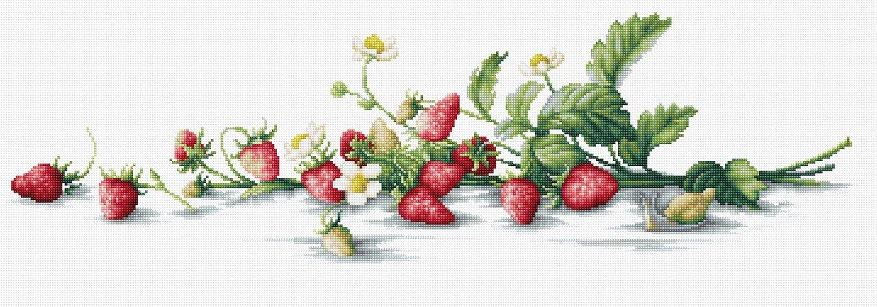 Etude with Strawberries B2266 - Wizardi