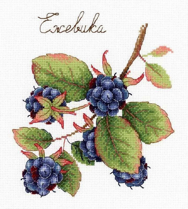 Gifts of Nature. Blackberry SNV-696 Cross-stitch kit - Wizardi