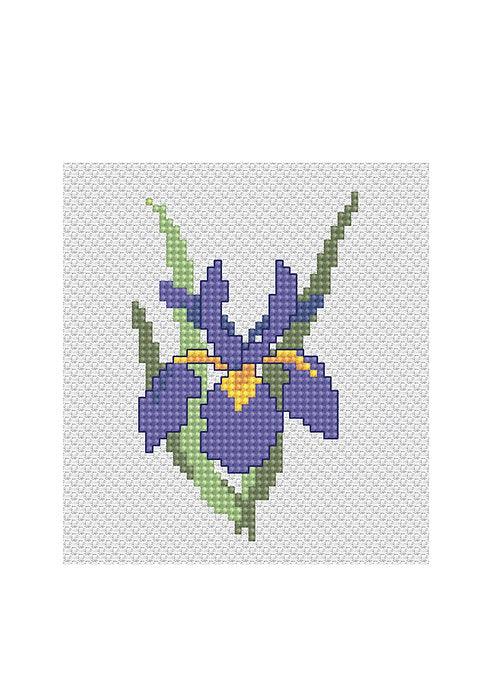 Iris B021L Counted Cross-Stitch Kit - Wizardi