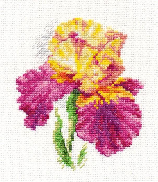 Irises 0-136 Cross-stitch kit - Wizardi