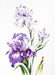 Irises B2251 - Wizardi