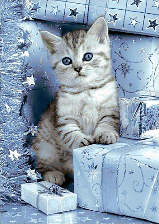 Kitten and Christmas Presents WD2417 10.6 x 14.9 inches - Wizardi