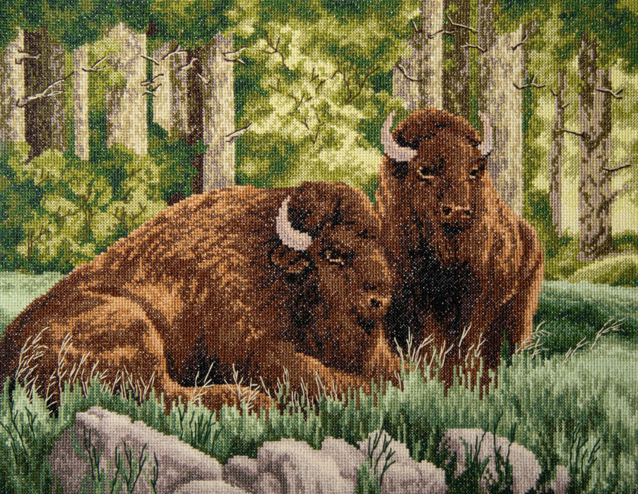 Counted cross stitch kit Bison M-520C