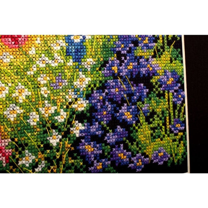 Delphinium and cosmos M626 Counted Cross Stitch Kit