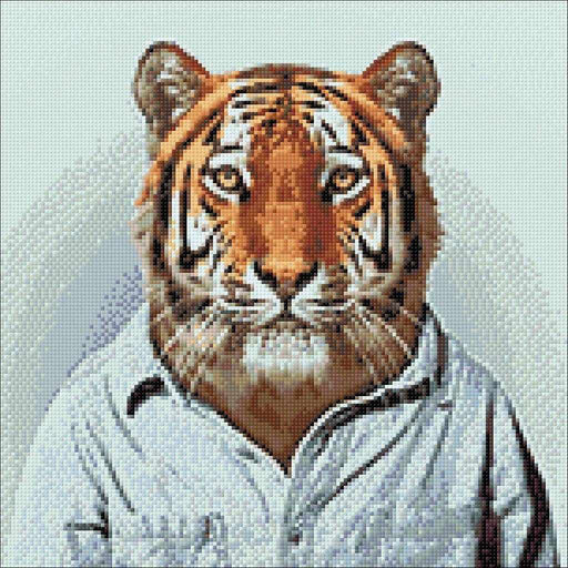 Mr Tiger WD258 14.9 x 14.9 inches - Wizardi