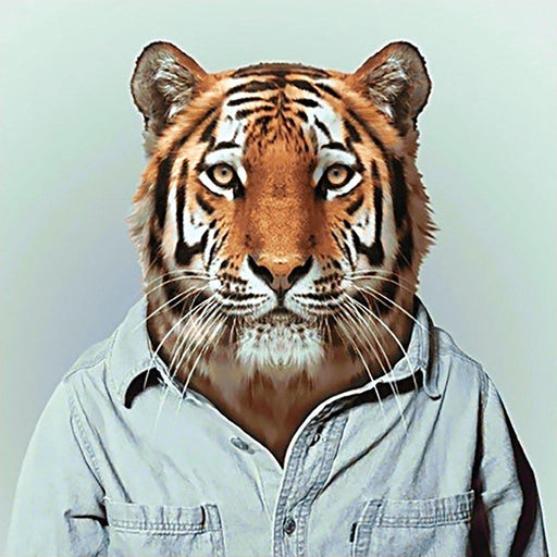 Mr Tiger WD258 14.9 x 14.9 inches - Wizardi