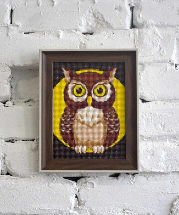 Night Owl WD308 5.9 x 7.9 inches - Wizardi