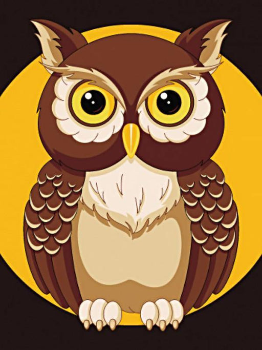 Night Owl WD308 5.9 x 7.9 inches - Wizardi