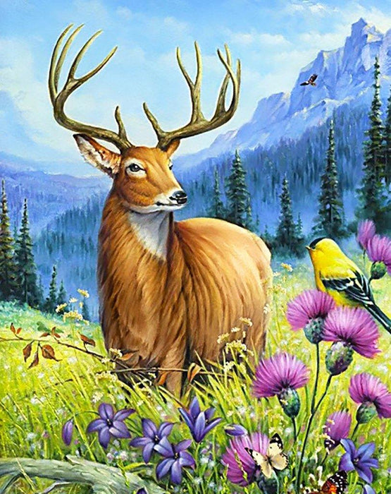 Noble Deer  WD2496 Diamond painting kit - Wizardi