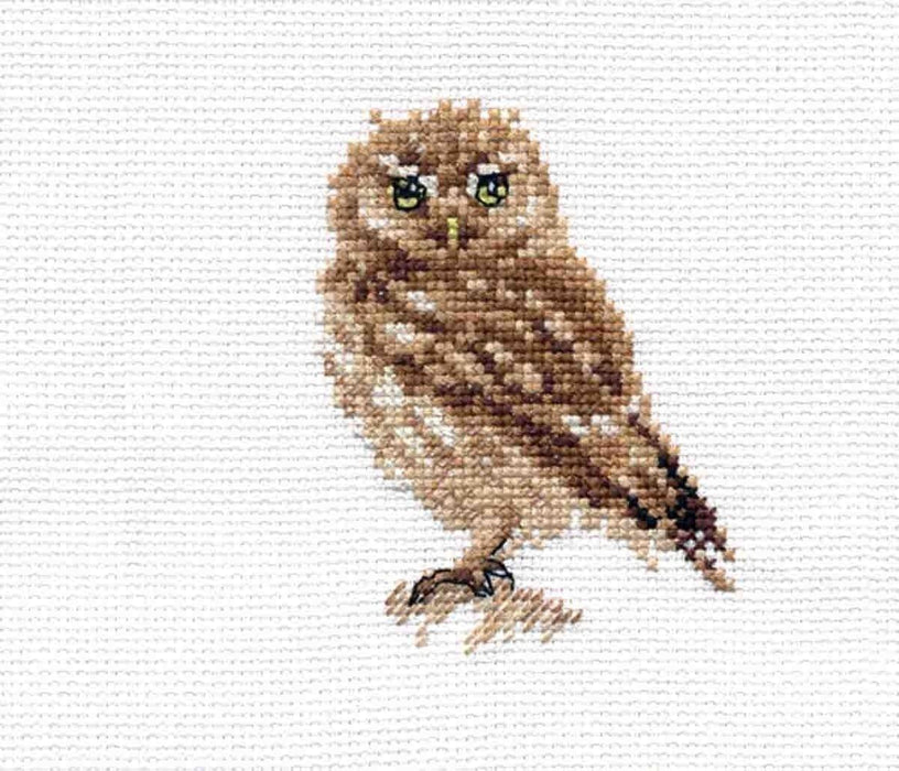 Owl 0-166 Cross-stitch kit - Wizardi