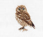Owl 0-166 Cross-stitch kit - Wizardi