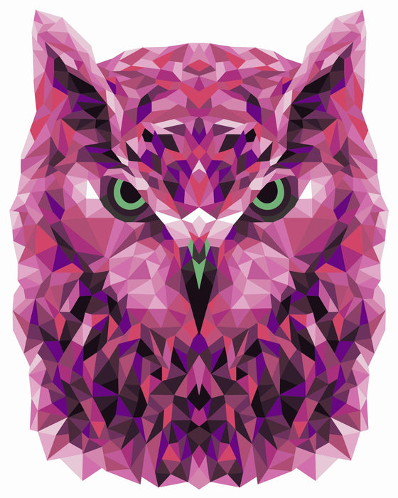 Painting by Numbers kit Crafting Spark Celebration Poly Owl P002 19.69 x 15.75 in - Wizardi