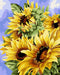 Painting by Numbers kit Crafting Spark Golden Sunflowers B136 19.69 x 15.75 in - Wizardi