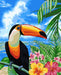 Painting by Numbers kit Crafting Spark Toucan H080 19.69 x 15.75 in - Wizardi