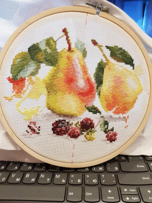 Pears 5-16 Cross-stitch kit - Wizardi