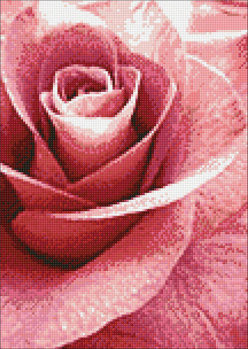 Pink Rose WD019 10.6 x 14.9 inches - Wizardi