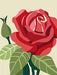 Rose WD305 5.9 x 7.9 inches - Wizardi
