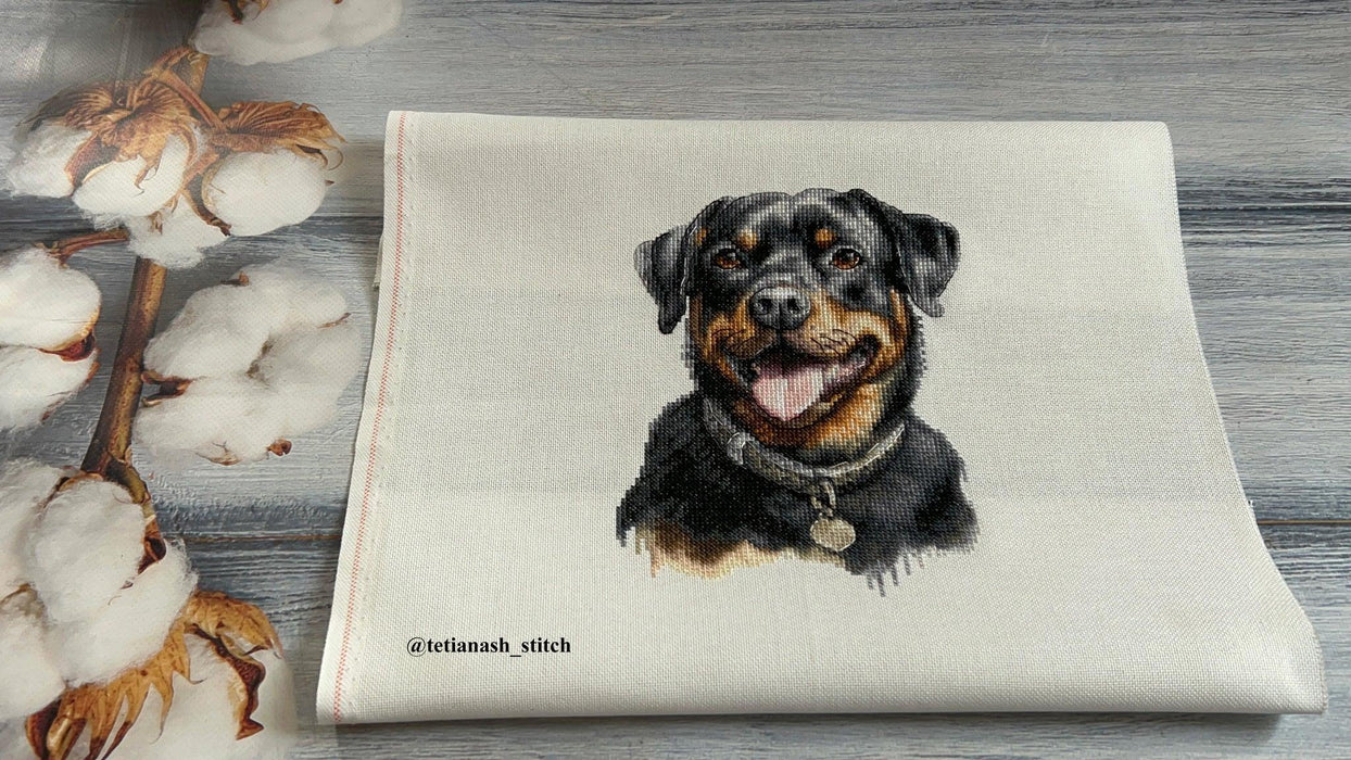 Rottweiler BC229L Counted Cross-Stitch Kit