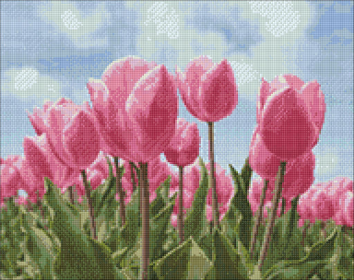 Sky and Tulips WD2301 18.9 x 14.9 inches - Wizardi