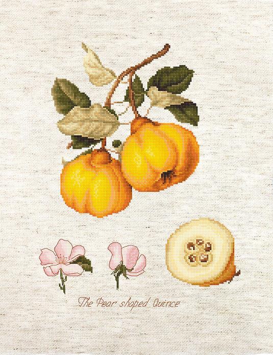 The Pear shaped Quince BA22430L Counted Cross-Stitch Kit - Wizardi