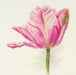 Tulips. Light Pink 2-42 Cross-stitch kit - Wizardi